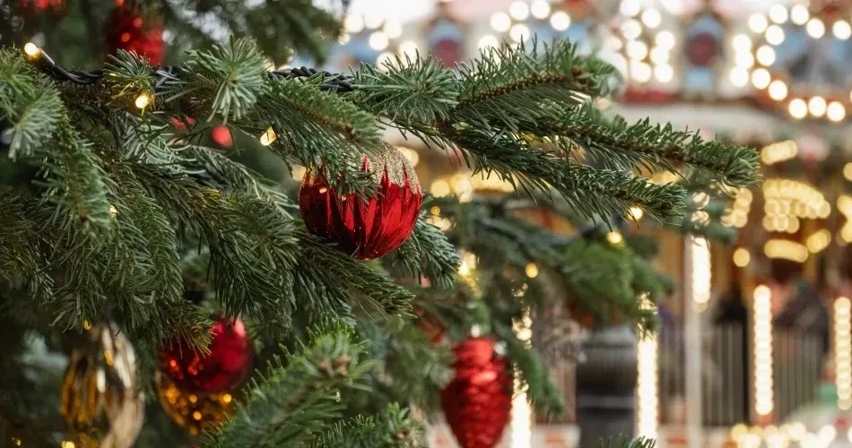 Best Seasonal Festivals in Oceanside, California: Your Complete Visitor's Guide