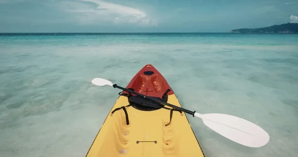 Ultimate Oceanside Coastal Adventure Guide: Surf, Paddle, Hike & Explore