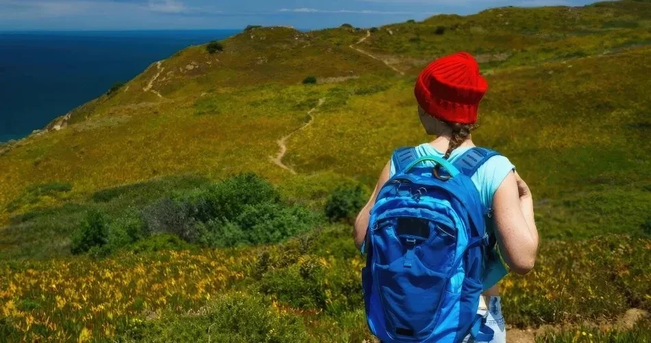 Ultimate Oceanside Coastal Adventure Guide: Surf, Paddle, Hike & Explore